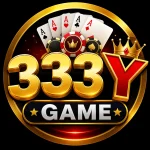 333Y Game