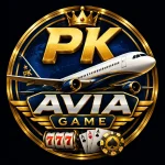 PK Avia Game