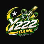 Y222 Game